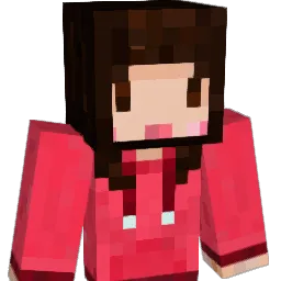 wndus0311 Minecraft avatar bust