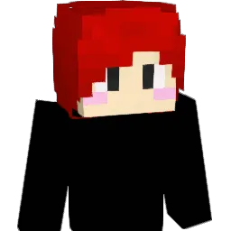 wngur6436 Minecraft avatar bust