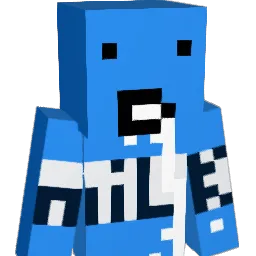 wnine Minecraft avatar bust