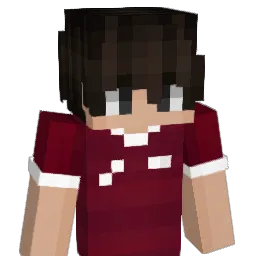 wnova1_ Minecraft avatar bust