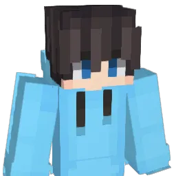wodnjs1234 Minecraft avatar bust