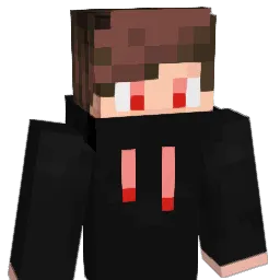 woj650 Minecraft avatar bust