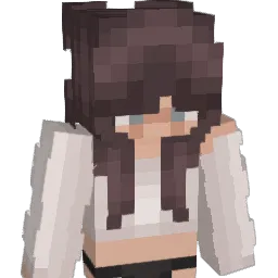 wokle Minecraft avatar bust