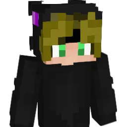wolF5555512 Minecraft avatar bust