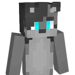 Minecraft-Avatar von wolfywoof268: Büste