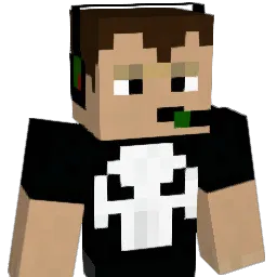 wombat801 Minecraft avatar bust