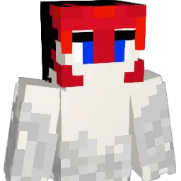 won9311 Minecraft avatar bust