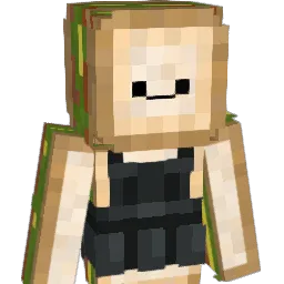 wonchik Minecraft avatar bust