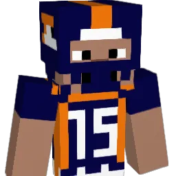 wonderfree Minecraft avatar bust