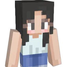 wongwayxd Minecraft avatar bust
