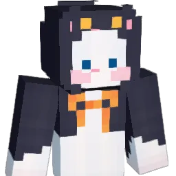 wonhuk2010's Minecraft skin