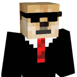 wonkey_skronkey5 Minecraft avatar bust