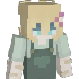 wonkou's Minecraft skin