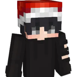 wonn_aa Minecraft avatar bust