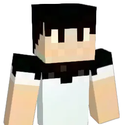 wonsuk2012's Minecraft skin