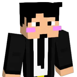 woo_in125 Minecraft avatar bust