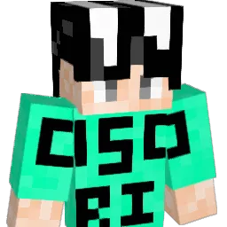 woo_sol's Minecraft skin