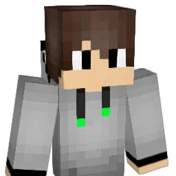woodster29 Minecraft avatar bust