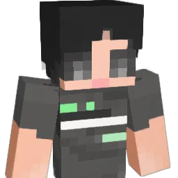 woomin4000 Minecraft avatar bust