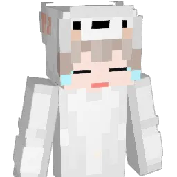 wooni_02 Minecraft avatar bust