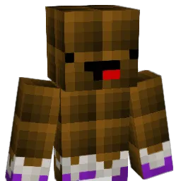 wout0907 Minecraft avatar bust