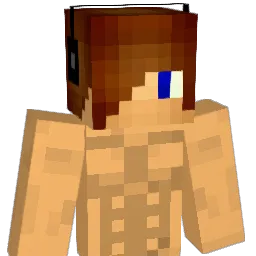 wouter8998's Minecraft skin
