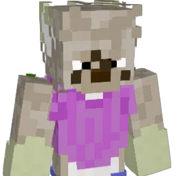 wowXsip Minecraft avatar bust