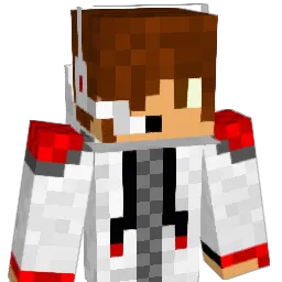 wownice8 Minecraft avatar bust