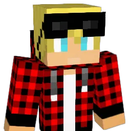 wpad24 Minecraft avatar bust