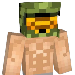 wqd315 Minecraft avatar bust