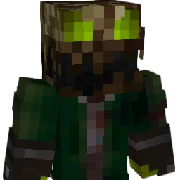 wradar07 Minecraft avatar bust
