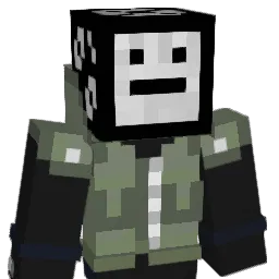 wrqnb666 Minecraft avatar bust