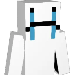 wsad21 Minecraft avatar bust