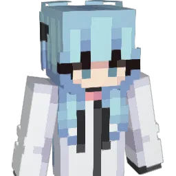 wsdad_123 Minecraft avatar bust