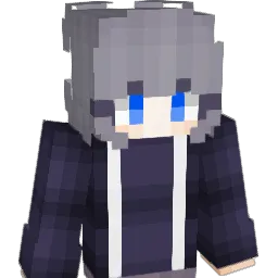 wsdsbdd Minecraft avatar bust