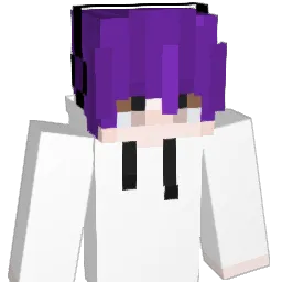 wsenw1771 Minecraft avatar bust