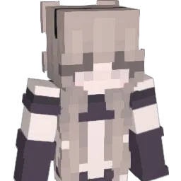 wsmdy Minecraft avatar bust