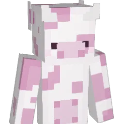 wsp_zack