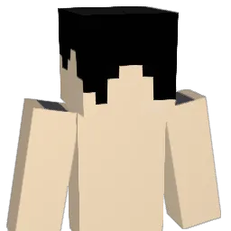 wsxs12 Minecraft avatar bust
