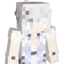 wsy2008 Minecraft avatar bust