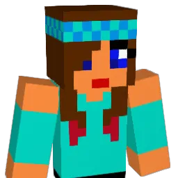 wtf_Han Minecraft avatar bust