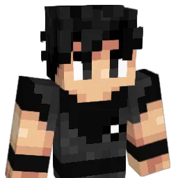 wtfhaha Minecraft avatar bust