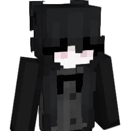 wudi9955 Minecraft avatar bust