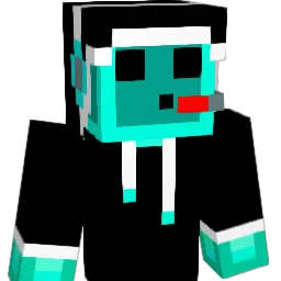 wufi1