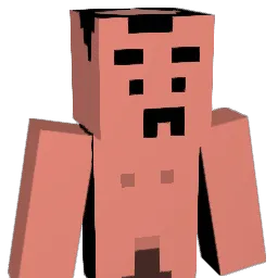 wujian1903 Minecraft avatar bust