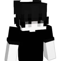 wvmm Minecraft avatar bust
