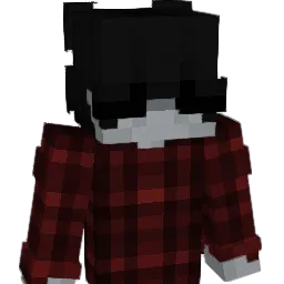 wvva Minecraft avatar bust