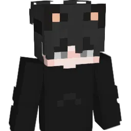 wvxd Minecraft avatar bust