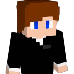 wwlro Minecraft avatar bust