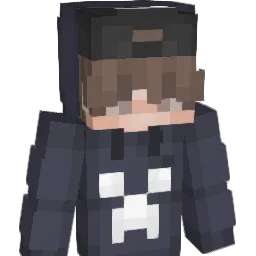 wwwenin Minecraft avatar bust